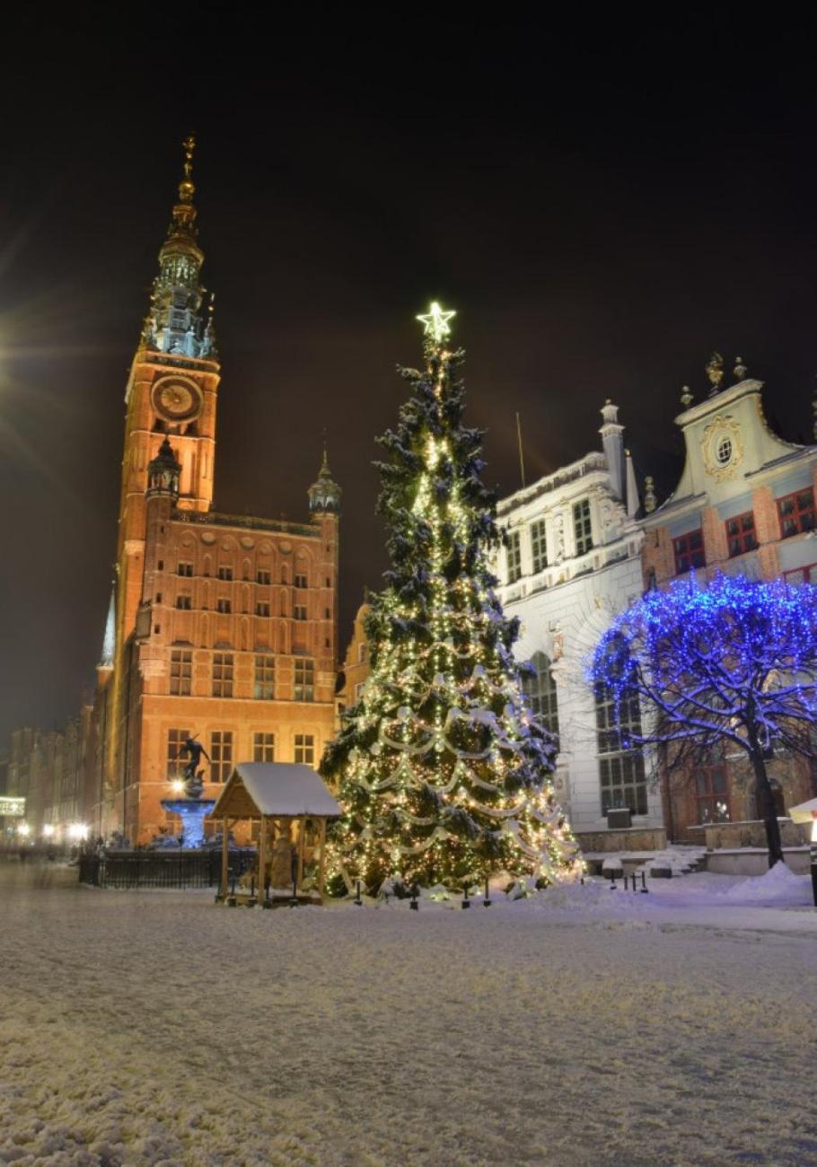 Old Town Apartment Angielska Grobla Gdańsk Zewnętrze zdjęcie